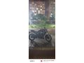 Sahibinden Bajaj Dominar 250 D