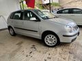MS MOTORS 2005 VOLKSWAGEN POLO 