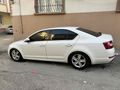 Sahibinden Skoda Octavia 1.6 TDI Optimal 2014 Model 
