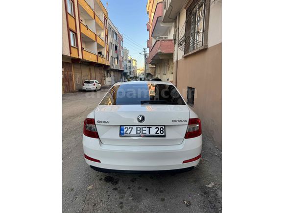 Sahibinden Skoda Octavia 1.6 TDI Optimal 2014 Model 