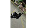 Sahibinden RKS Wildcat 125 