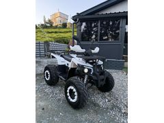 Sahibinden ATV & UTV Revolt RA5 