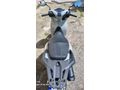 2300 kmde Honda SH 125 cc