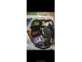 Sahibinden Ford Focus 1.6 TDCi Style 2013 Model