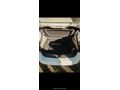 Sahibinden Ford Focus 1.6 TDCi Style 2013 Model