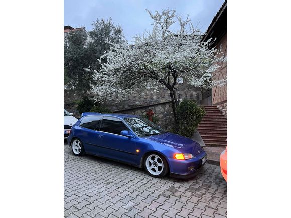 Böylesi bir daha zor :)