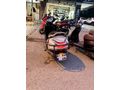 Sahibinden Honda Activa 125 