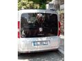 Sahibinden Fiat Doblo Combi 1.3 Multijet Easy 2013 Model