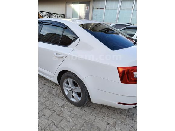 Sahibinden Skoda Octavia 1.6 TDI Optimal 2017 Model