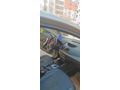 Sahibinden Renault Fluence 1.5 dCi Dynamique 2011 Model Sivas
