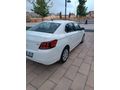 CAM GİBİ PEJO 301