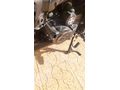Sahibinden Arora MT 125