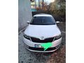 Sahibinden Skoda Rapid 1.6 TDI Elegance 2014 Model