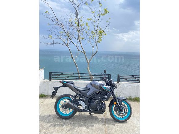 Sahibinden Yamaha MT 25 ABS 