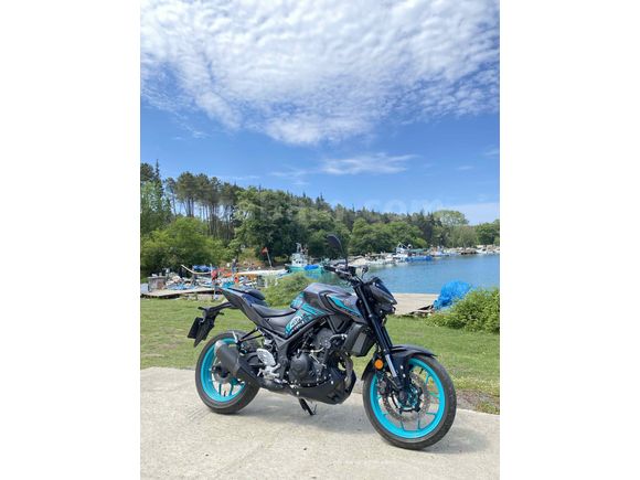 Sahibinden Yamaha MT 25 ABS 