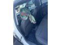 Sahibinden Opel Astra 1.6 Edition 2017 Model  59000 km Beyaz