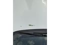 Sahibinden Opel Astra 1.6 Edition Plus 2018 Model