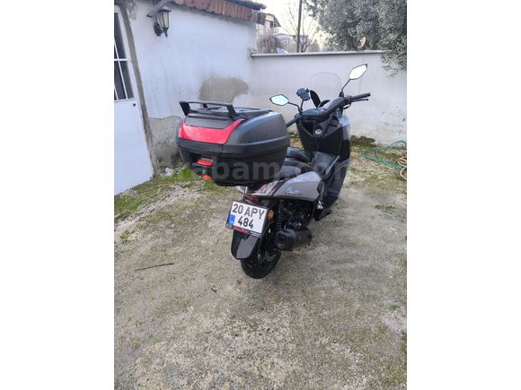 Sahibinden Kuba Chia 125pro