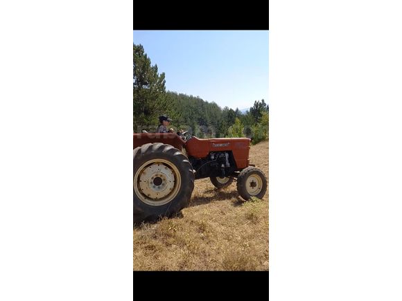 Sahibinden Fiat 54C