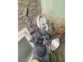 Sahibinden Motolux MTX 125 