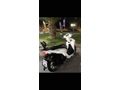 Sahibinden Honda Dio 