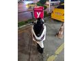 ACİL SATILIK Honda PCX150 