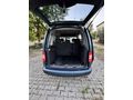 Serinin en temizi