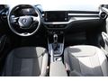 Skoda Fabia 1.0 TSİ PREMİUM
