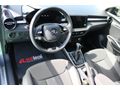 Skoda Fabia 1.0 TSİ PREMİUM