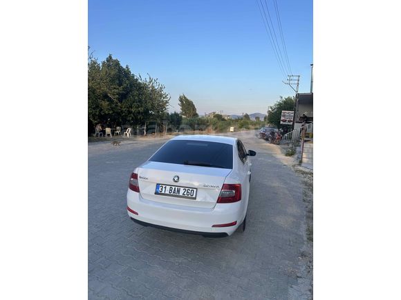 Sahibinden Skoda Octavia 1.6 TDI Ambition 2014 Model 