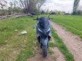 Sıfır ayarında 460 km de RSX5