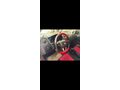 Seat Ibiza 1.4 Style 2012 Model