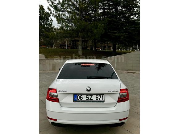 Makyajlı Kasa Tertemiz Skoda Octavia
