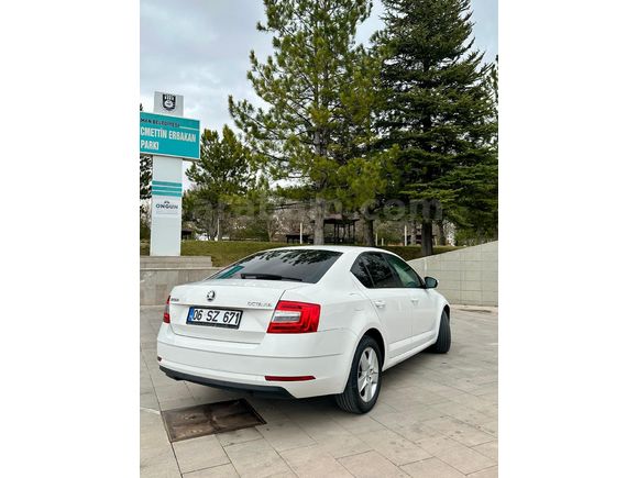 Makyajlı Kasa Tertemiz Skoda Octavia