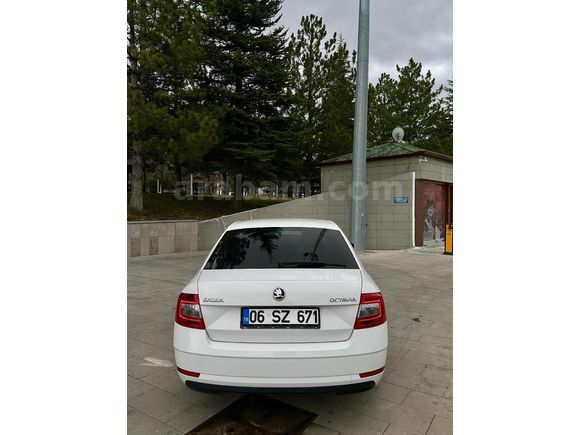 Makyajlı Kasa Tertemiz Skoda Octavia