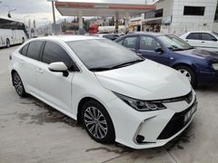 HATASIZ SERVİS BAKIMLI 43 BİNDE
