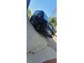 ACİL SATILIKTIR 1.6 PREMİO PLUS l