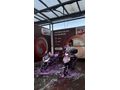 Şahsi kullanıcıdan Honda Activa 125 