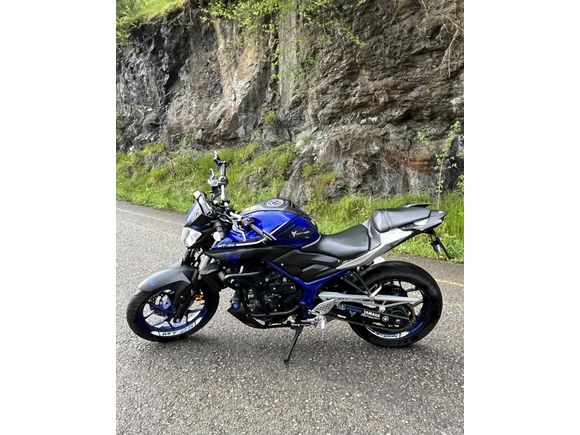 Sahibinden Yamaha MT 25 