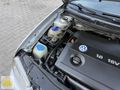 GÜNEŞ OTOMOTİV VW GOLF 2003 MODEL 1.6 16VALF PACİFİC CAM GİBİ
