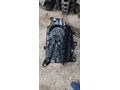 Fiat Egea Adblue Deposu