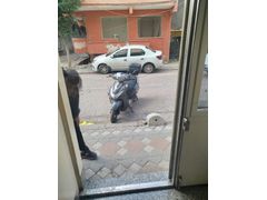 250 km de mecbur6bnyazdim fotoğraf temsili bütün ekioman mevcut kask zincir eldiven arka bagaj telefon tutacagi hepsi mevcutSahibinden Arora Leader 50