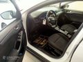2019 FORD FOCUS 1.5 TDCI (OTOMATİK)