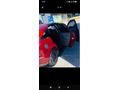 Sahibinden Ford Focus 1.6 Ambiente 2000 Model
