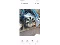 Ford transit V 148 motor muaer