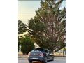 Sahibinden Renault Megane 1.2 TCe Icon 2016 Model