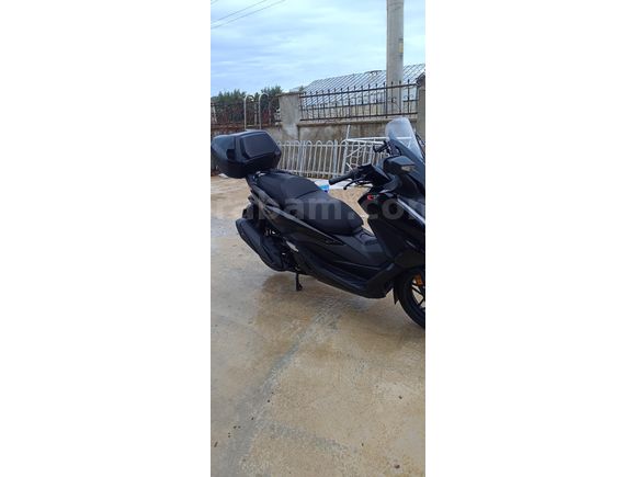 Sahibinden Honda Forza 250 (NSS250)