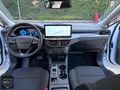 2025 MODEL FOCUS 1.5 ECOBLUE CAM TAVAN FULL 13 BİN KM DE