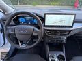 2025 MODEL FOCUS 1.5 ECOBLUE CAM TAVAN FULL 13 BİN KM DE