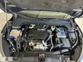 Eylul Otomotivden Focus 1.5 TDCI Trend X